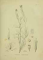  no thumbnail available