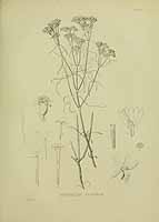  no thumbnail available