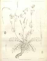  no thumbnail available