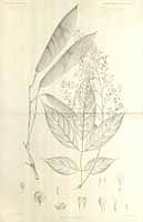  no thumbnail available