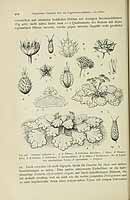  no thumbnail available