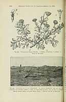  no thumbnail available