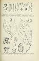  no thumbnail available