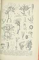  no thumbnail available