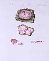  no thumbnail available