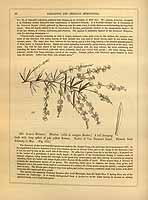  no thumbnail available