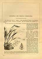  no thumbnail available