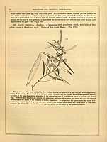  no thumbnail available