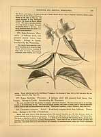  no thumbnail available