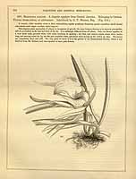  no thumbnail available