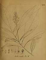  no thumbnail available