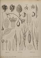  no thumbnail available