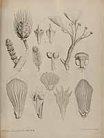  no thumbnail available