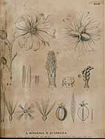  no thumbnail available