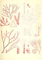  no thumbnail available