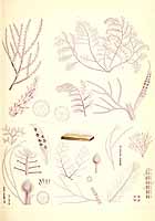  no thumbnail available