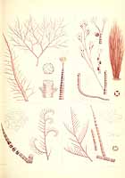  no thumbnail available