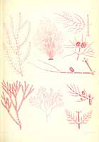  no thumbnail available