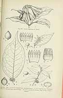  no thumbnail available