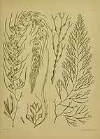  no thumbnail available