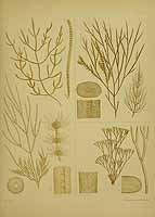  no thumbnail available