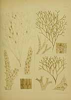  no thumbnail available