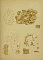  no thumbnail available