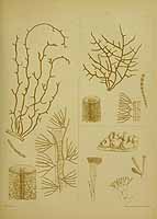  no thumbnail available