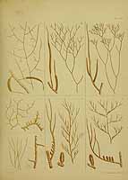  no thumbnail available