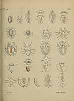  no thumbnail available