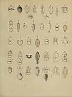  no thumbnail available