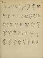  no thumbnail available