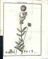  no thumbnail available