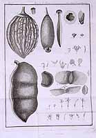  no thumbnail available