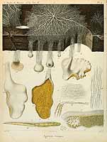  no thumbnail available