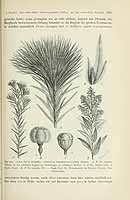  no thumbnail available