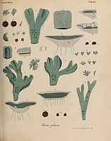  no thumbnail available