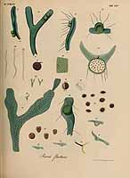  no thumbnail available