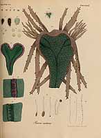  no thumbnail available