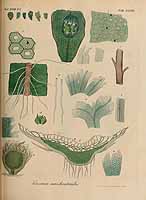  no thumbnail available