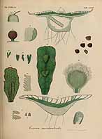  no thumbnail available