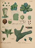  no thumbnail available