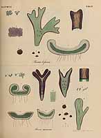  no thumbnail available