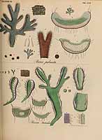  no thumbnail available