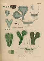  no thumbnail available