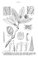  no thumbnail available