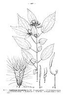  no thumbnail available