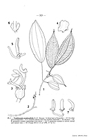  no thumbnail available