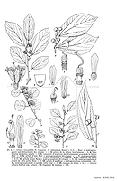  no thumbnail available