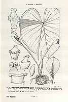  no thumbnail available